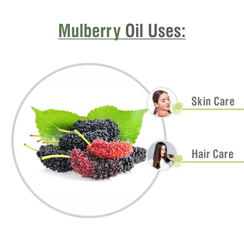 Salvia Mulberry Oil Pure Natural And Cold Pressed Mulberry Oil | For Diffusers, Soap Making, Candles, Lotion, Home Scents, Bath Bombs, Diy Homemade Products - Grade - 30 Ml #TOP2