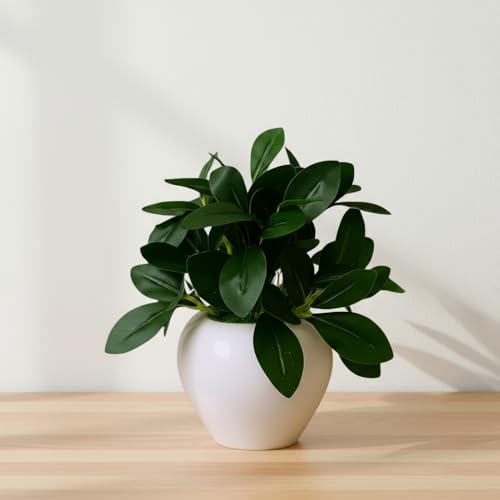 Image of fancymart Artificial Rubber Plant in 4 Inch White Apple Pot (22 cm Height) - Realistic Green Decorative Plant for Home Decor, Living Room, Office Desk & Interior Decoration
