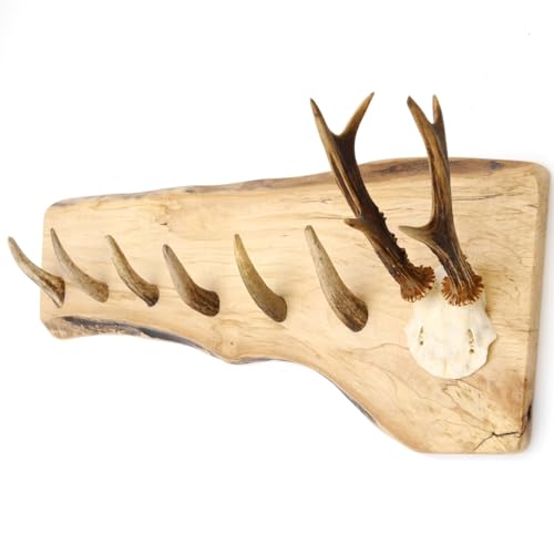 GTK - Geweihe & Trophäen KRUMHOLZ Geweih Garderobe mit 6 Haken aus Rothirschspitzen auf Holzbrett Rehgeweih Wandgarderobe Unikat 27.8.89