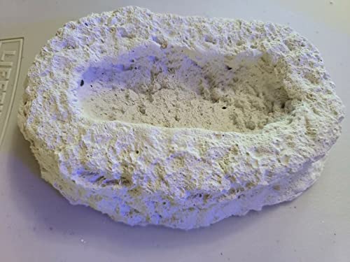 Image of Clam & Anemone Cradle - Holds Clams UP! - USA Reef Aquatics (White)