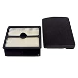 Dirt Devil 5010001 Filterset bestehend aus Motorschutzfilter und Ausblasfilter