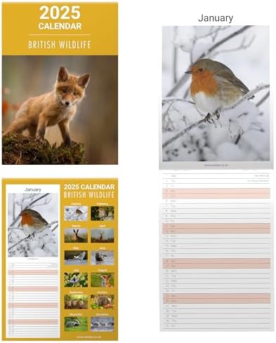 Calendar 2023 Template With Cute Rabbit. Design Of Calendar With A