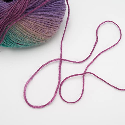 Image of NICEEC 3 Skeins 100% Wool Rainbow Yarn Soft Gradient, Self-Striping, Colorful Single Ply Yarn for Crochet & Knitting - 5#