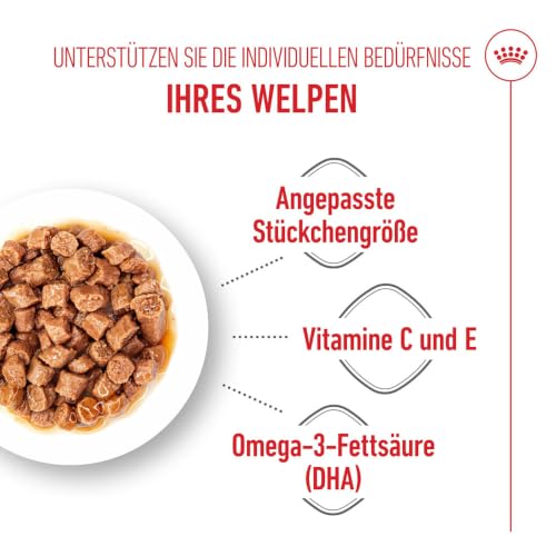 ROYAL CANIN X-SMALL Puppy Stückchen in Soße Feuchtnahrung für Hunde 12 x 85 g