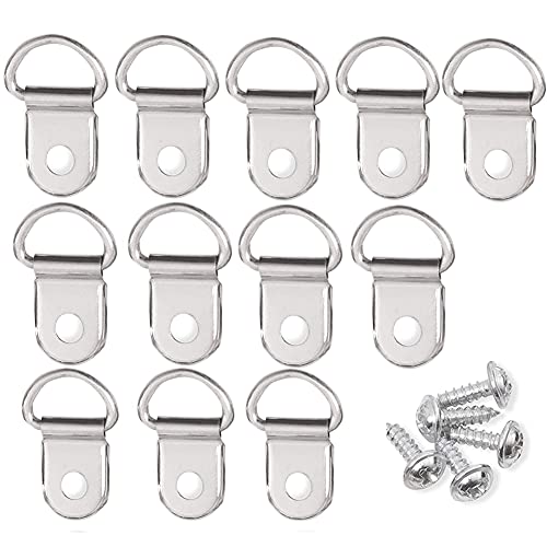12 ganchos de acero inoxidable con anillos en D ganchos de lona gancho de pared con tornillos para colgar marcos de fotos
