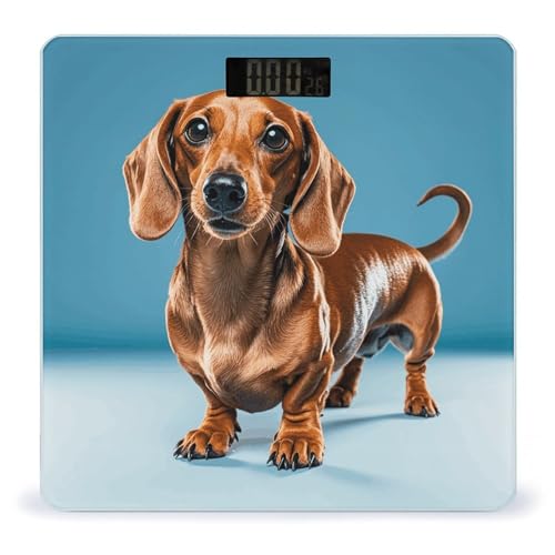 Báscula Digital para Mascotas Dachshund Weiner de Vidrio Templado miniatura 1