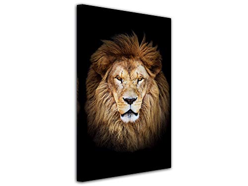 Cadre Mural Le Roi Lion 30x50 tableau décoration séjour fabriqué en France esprit fauve