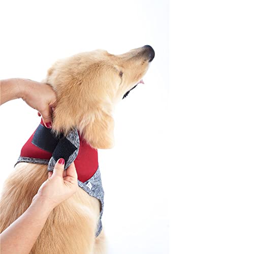 Roupa Protetora de Pescoço p/Cachorro Pet Med Duo Dry N1