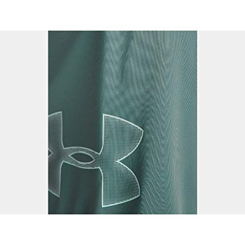 Image of Under Armour UA Tech Graphic Shorts