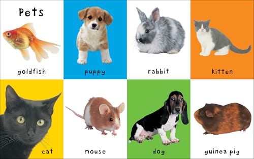 First 100 Animals: In the bestselling First 100 series