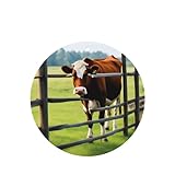 Nombreuses utilisations : nos désodorisants pour armoire à chaussures peuvent être utilisés non seulement dans les voitures et les camions, mais également dans la maison, l'appartement, le placard, le salon, la chambre, la salle de bain, le bureau et partout ailleurs. La durée du parfum est déterminée en fonction de la manière et du lieu d'utilisation.