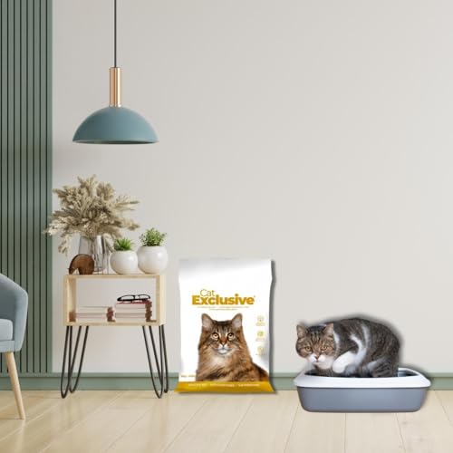 Intersand-Cat-Exclusive-Cat-Litter-for-All-Breed-Cats-Scoopable-Unscented-Clumping-User-Friendly-Solution-for-All-Cat-Owners-New-Packaging-10-Kg-Bag