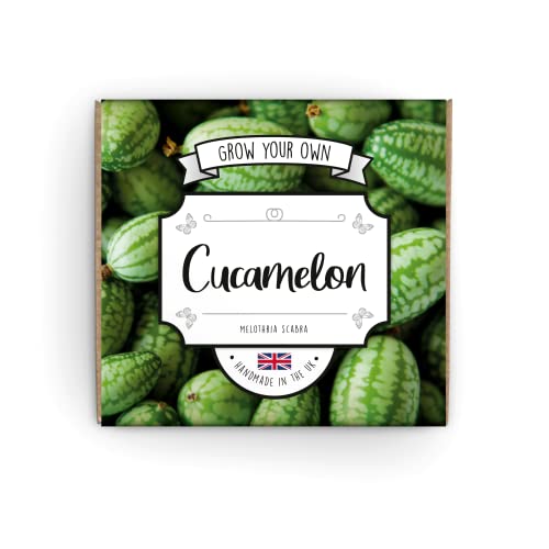 Grow Your Own Cucamelon Kit - Complete Beginner Starter Kit | Easy Instructions | Made in UK | Perfect Gardening Gift for Any Occasion