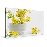  Tanja Riedel CALVENDO Tableau mural en tissu avec cadre en carton 75 x 50 cm