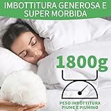 Zoom IMG-1 welldora comfort piumone letto doppio Zoom IMG-1 welldora comfort piumone letto doppio