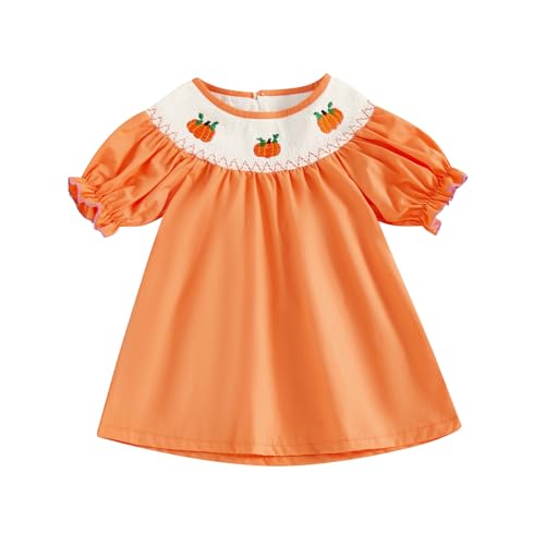Little Kids Toddler Girl Halloween Outfits Clothes Pumpkin Embroidery Long Sleeve Plaid Fall Smocked Dress 1-7T