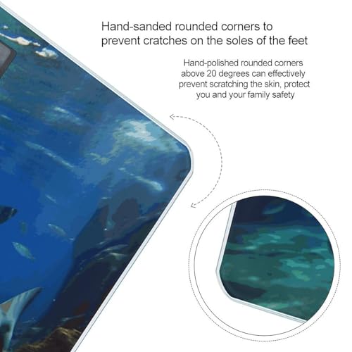 Báscula digital de baño Two White Sharks con pantalla LCD miniatura 4