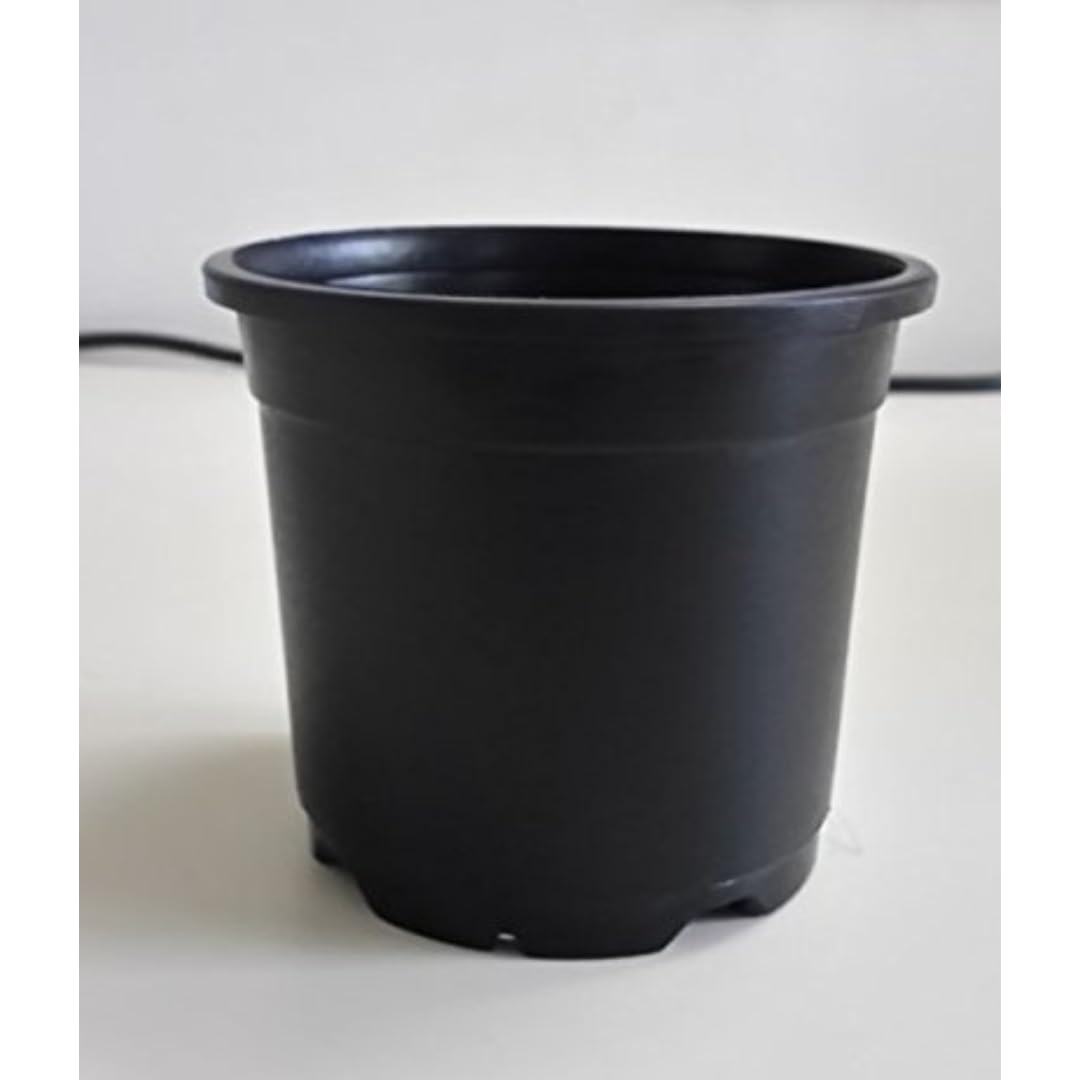 CAPPL Plastic 8 Inch Black Nursery Pot Black (8 Inch Pack of 10 Pots) (B016OJ4OZM) Amazon Price History, Amazon Price Tracker
