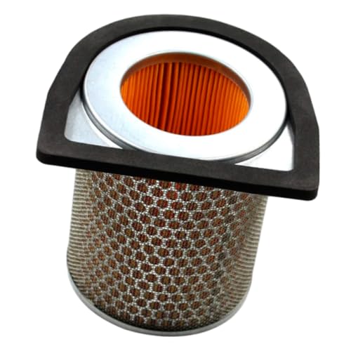 Kacepar Filtro de aire para motocicleta, limpiador de filtro de aire para motocicleta, filtro de admisión compatible con Honda CBX250 CBF250 2004-2006