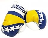 Doktor Hardstuff Mini Boxhandschuhe - Bosnien