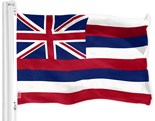 G128 Hawaii Hawaiian Flag | 3x5 Ft | LiteWeave Pro Series Printed 150D Polyester | Indoor/Outdoor Vibrant Colors Brass Grommets Thicker and More Durable Than 100D 75D Polyester