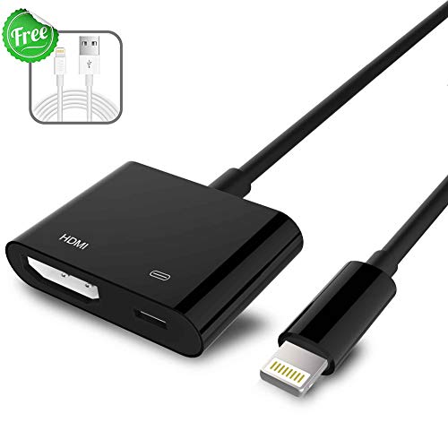 Best Hdmi Converter For Iphone 11