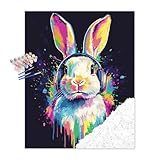 zouewit Bunny Painting Kit, Rabbit Paint by Numbers for Adults, Rabbit with Headphones Acrylic Paintings, Animal Home Living Room Wall Decor - Graffiti Rabbits Poster(16x20inch)