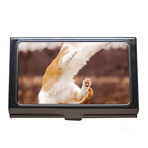 Estuche profesional para tarjetas de visita, porta gatos de acero inoxidable para animales