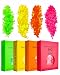 NEONS Face Glitter Pack ✮ KARIZMA Beauty ✮ 40g Festival Glitter Cosmetic Chunky Face Body Hair Nails