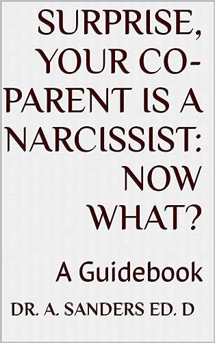 SURPRISE, YOUR CO-PARENT IS A NARCISSIST: NOW WHAT? : A Guidebook