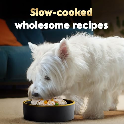 Image of Cesar Wholesome Bowls Wet Dog Food, Chicken & Sweet Potato, 3 oz, 10 Count | Sweet Potato & Green Beans Recipe, real chicken #1 ingredient, slow-cooked, easy to digest, ready-to-serve bowl
