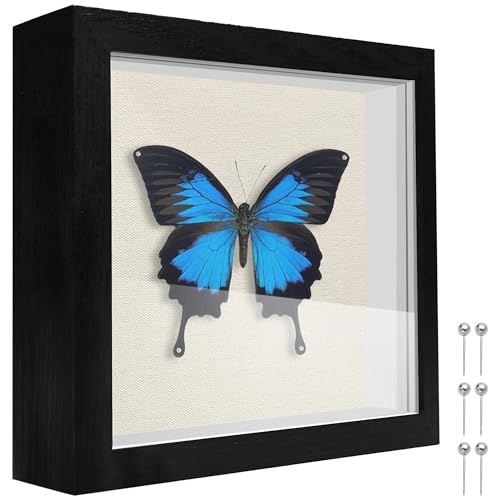 TOUYINGER 5x5 Small Shadow Box Frame Display Case with Soft Linen Back Display Case Box for Memorabilia Medal Wedding Memories Crafts Tickets and Photos (Black 5x5)