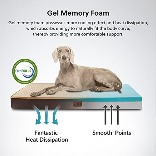 How Do I Get Dog Pee Out Of My Memory Foam Mattress
