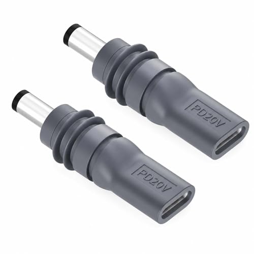 Adaptateur Type-C vers DC Starlink Mini convertisseur PD 20V Lot de 2