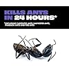 STEM Liquid Ant Baits, Kills The Queen and Colony, for Indoor Use, 8 Spill Proof Bait Stations