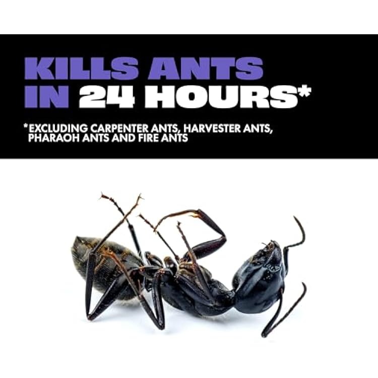 STEM Liquid Ant Baits, Kills The Queen and Colony, for Indoor Use, 8 Spill Proof Bait Stations