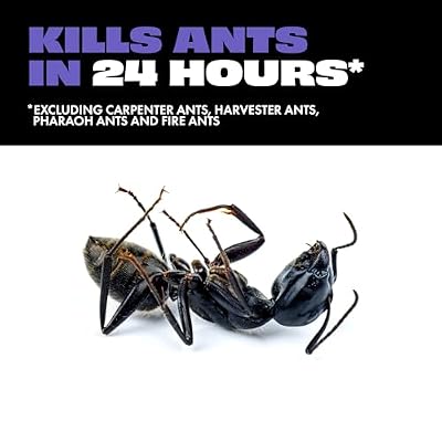 STEM Liquid Ant Baits, Kills The Queen and Colony, for Indoor Use, 4 Spill Proof Bait Stations