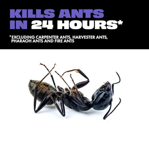 Image of STEM Liquid Ant Baits, Kills The Queen and Colony, for Indoor Use, 4 Spill Proof Bait Stations