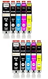 Amaprint 10 XL Patronen kompatibel mit Canon PGI 520 CLI 521 passend für Pixma IP3600 IP4600 IP4700 MP540 MP550 MP560 MP620 MP630 MP640 MX860 MX870