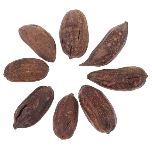 GRIRIW Parrot Chewing Accessories Pcs Dried Fruit Bird Toys for Macaws Budgies