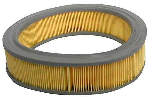 Champion 617812 W190 Filtro aria