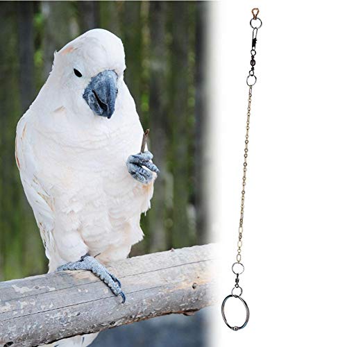 HEEPDD Imbracatura da Allenamento a Catena a