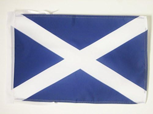 AZ FLAG Scotland Flag 18'' x 12'' cords - Scottish SMALL flags 30 x 45cm - Banner 18x12 in