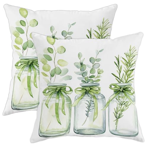 Juego de 2 fundas de cojín decorativas de hierbas, fundas de cojín botánicas de plantas verdes, decoración del hogar de temporada para sofá, cama, 20 x 20 pulgadas