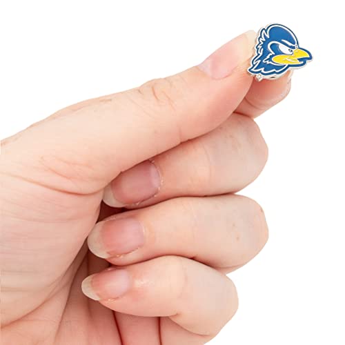 Image of Desert Cactus University of Delaware Lapel Pin DEL Blue Hens Made of Metal for Formal Wear, Bag and Hat Jewelry, and Tie Tack (Pin A)