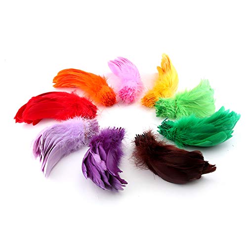 Sowder Natural Goose Feathers Clothing Accessories Pack of 100(Mixed Color)