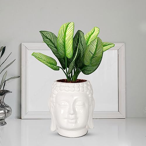 Lasaki Buddha 5 inch White Ceramic Flower Pot for Indoor & Outdoor Plants | Decorative Balcony, Garden, Home & Office Succulent Pot | Unique Designer Gamla Plant Holder (H-12.5 X D-12.5 cm)