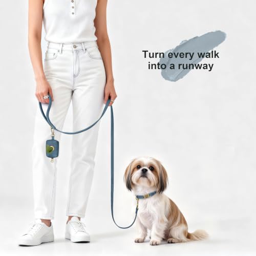 Image of Didog Soft PU Leather Dog Collar for Small Dogs, Quick Release, Blue S