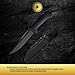 Spartan Blades Harsey Fighter Fixed Blade Knife, Black Polymer, 6.1