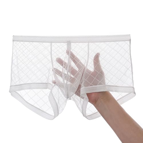 JINSHI Men's Mesh See Through Boxers Briefs,Sexy sheer lace underwear,Bulge Pouch boxer trunk,Ultra-thin